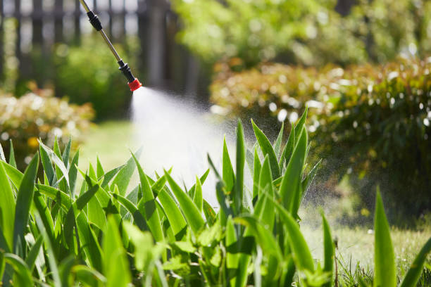 Tamper-Resistant Bait Stations for Rodents in Plattsburgh