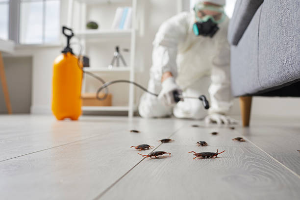 Commercial Rodent Management in Plattsburgh
